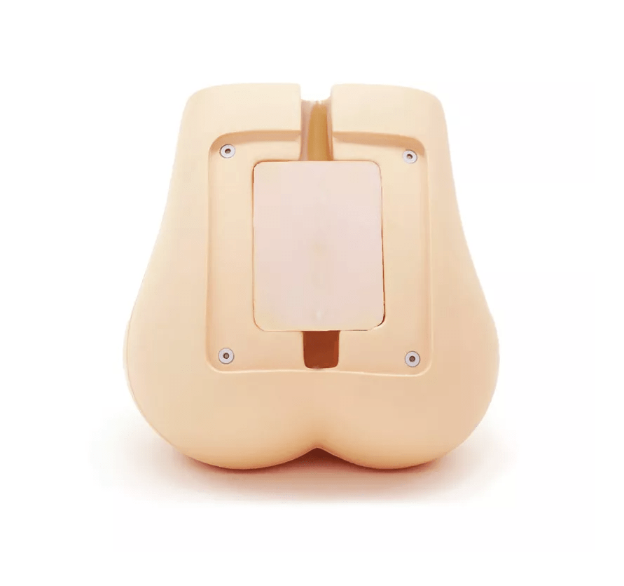 Lendenwirbelsäulen - Durchleuchtungsphantom - Erler - Zimmer